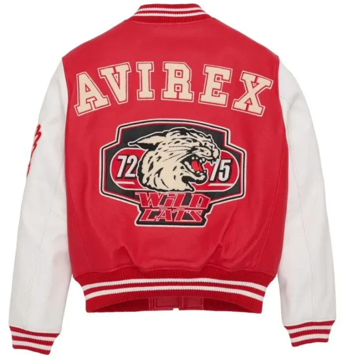 AVIREX Wild Cat Varsity Leather Jacket